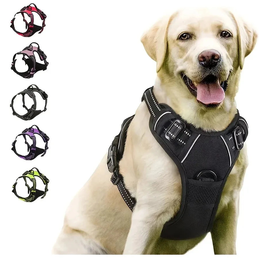 Dog Collar, Harness & Leash Set