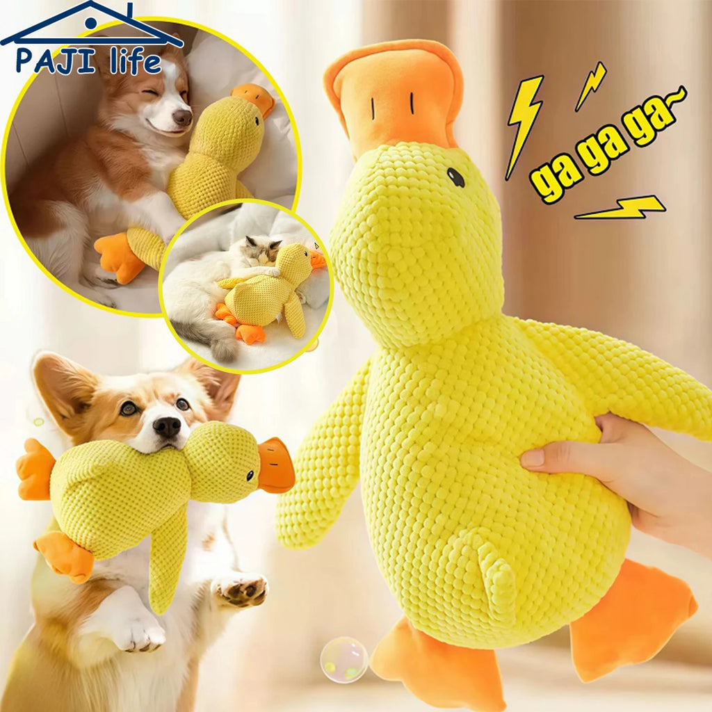 Plush Squeaky Chew Toy for Dogs