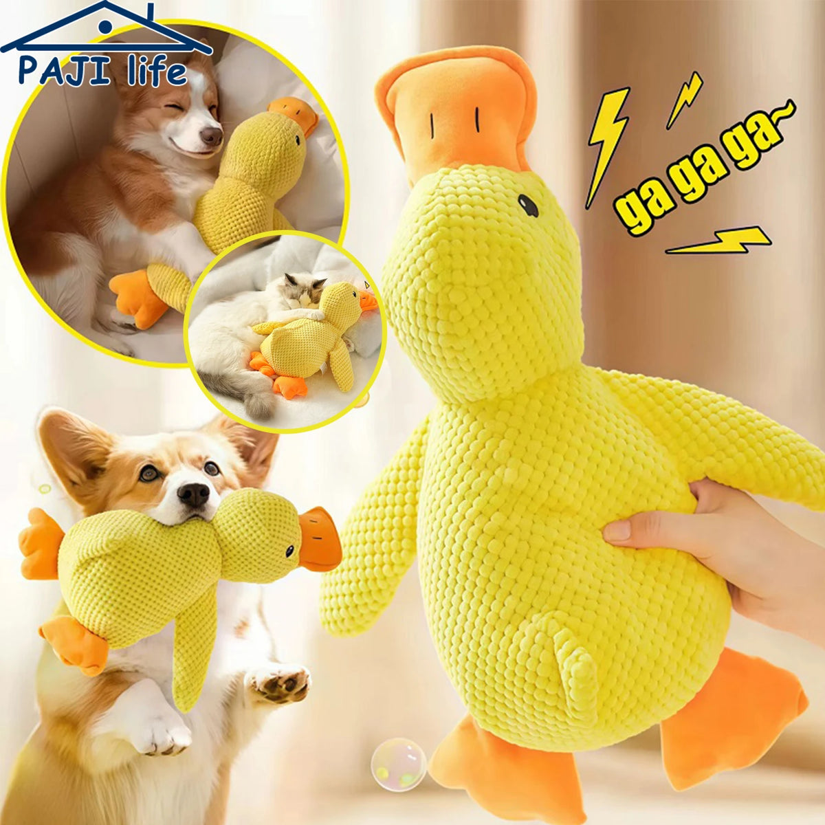 Plush Squeaky Chew Toy for Dogs