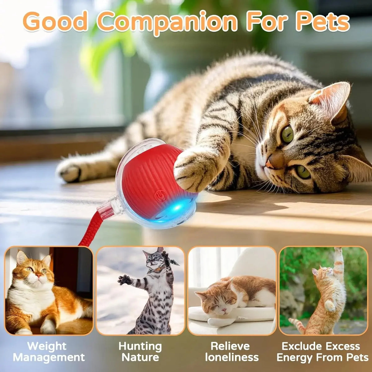 Motorized Rolling Ball Cat Toy with Faux Tail