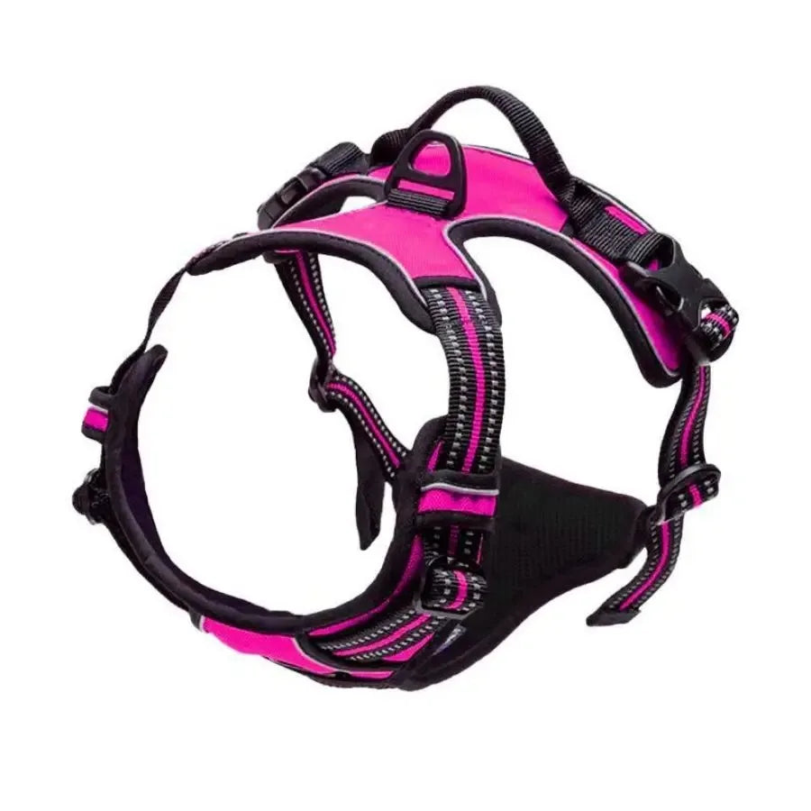 Dog Collar, Harness & Leash Set