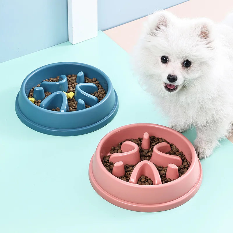 Anti-Choke Slow Feeder Bowl