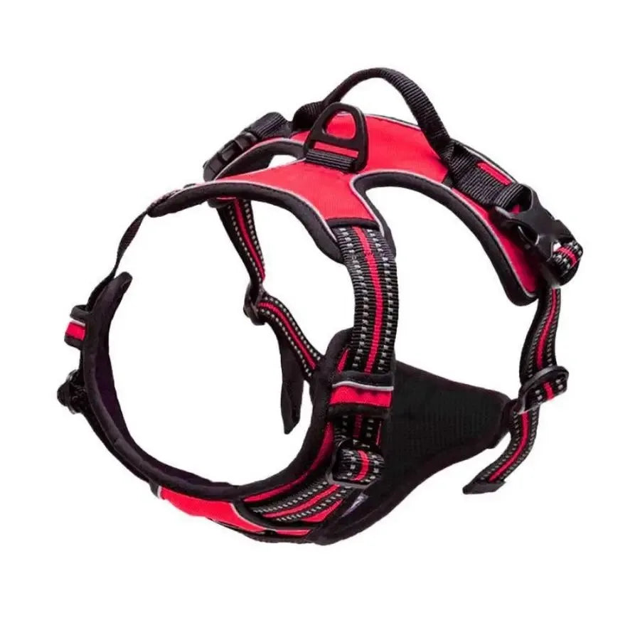 Dog Collar, Harness & Leash Set