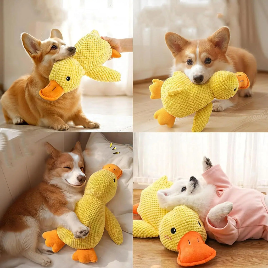 Plush Squeaky Chew Toy for Dogs
