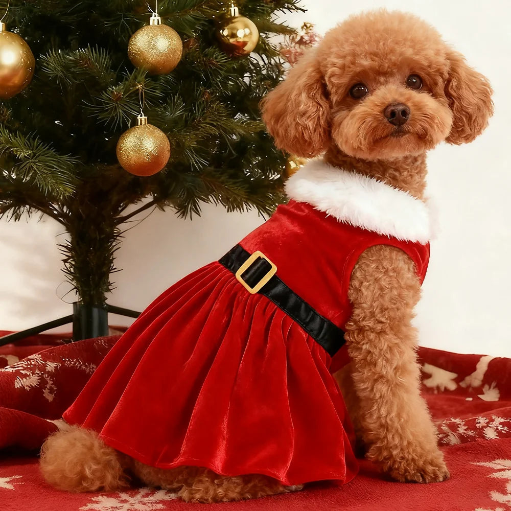 Santa Claus Holiday Pet Costume