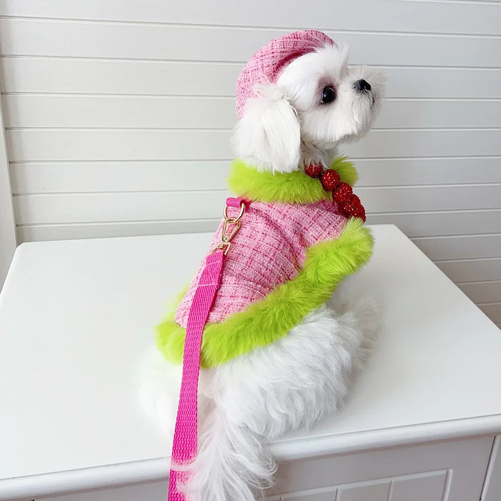 Winter Cloak Harness &amp; Leash Set