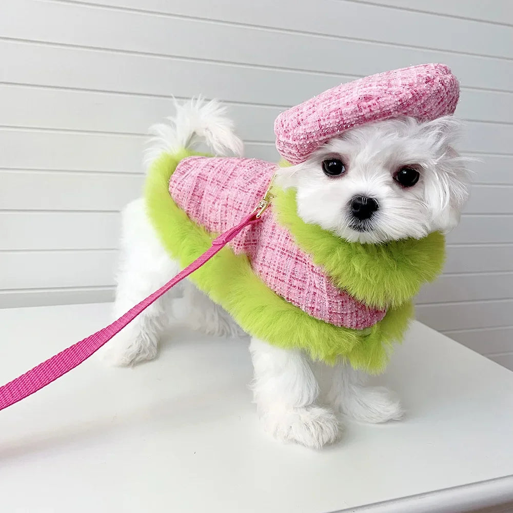 Winter Cloak Harness &amp; Leash Set