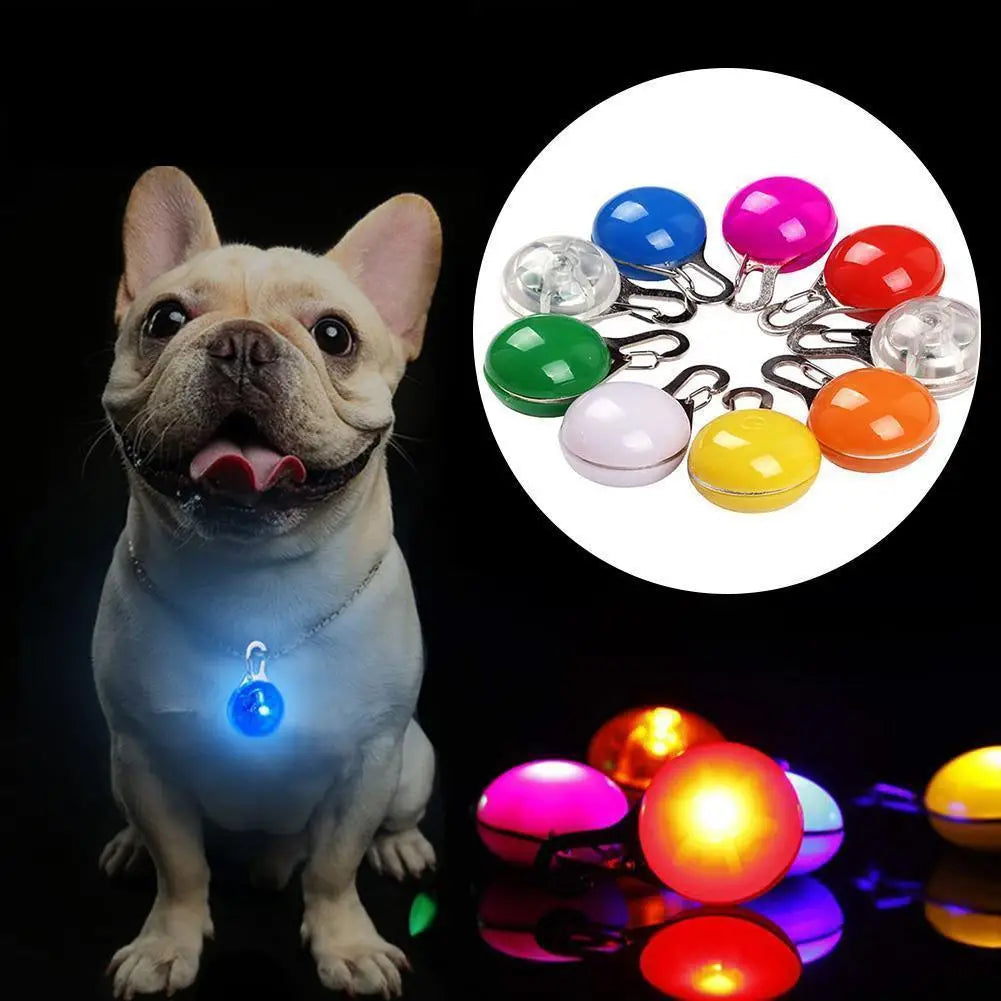 LED Night Safety Collar Pendant