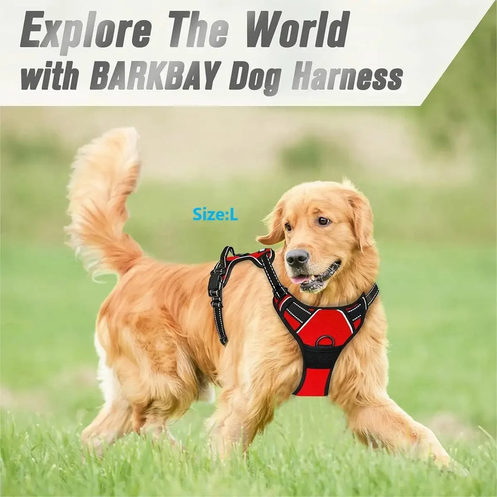 Dog Collar, Harness & Leash Set