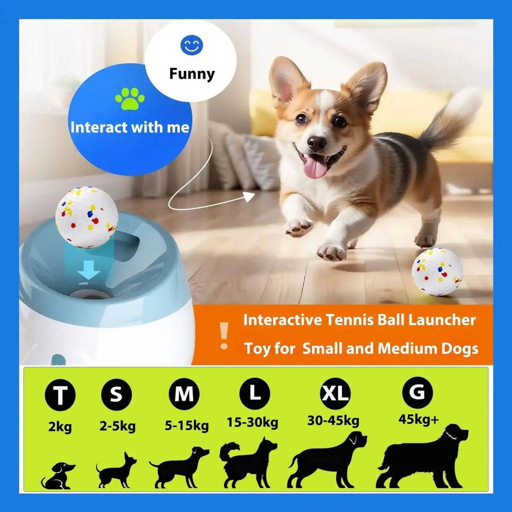 Automatic Tennis Ball Launcher for Dogs
