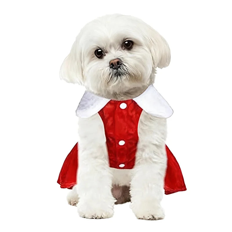 Santa Claus Holiday Pet Costume