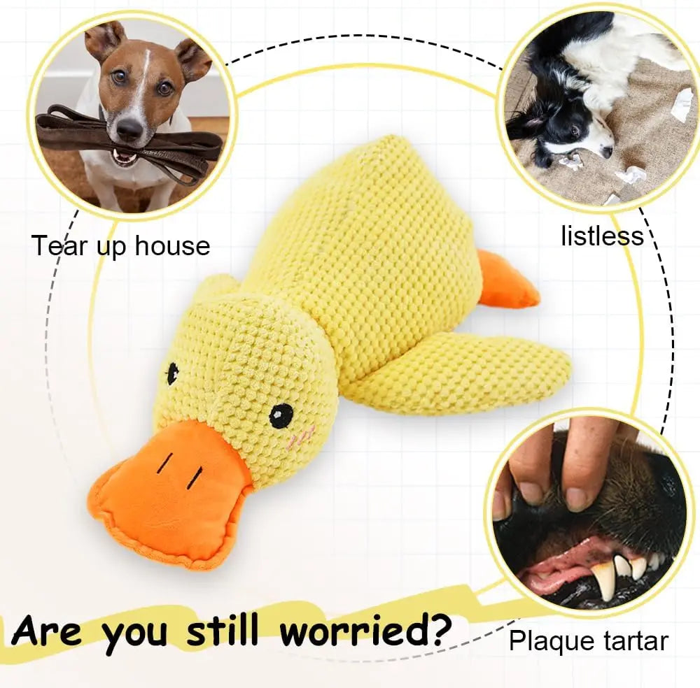 Plush Squeaky Chew Toy for Dogs