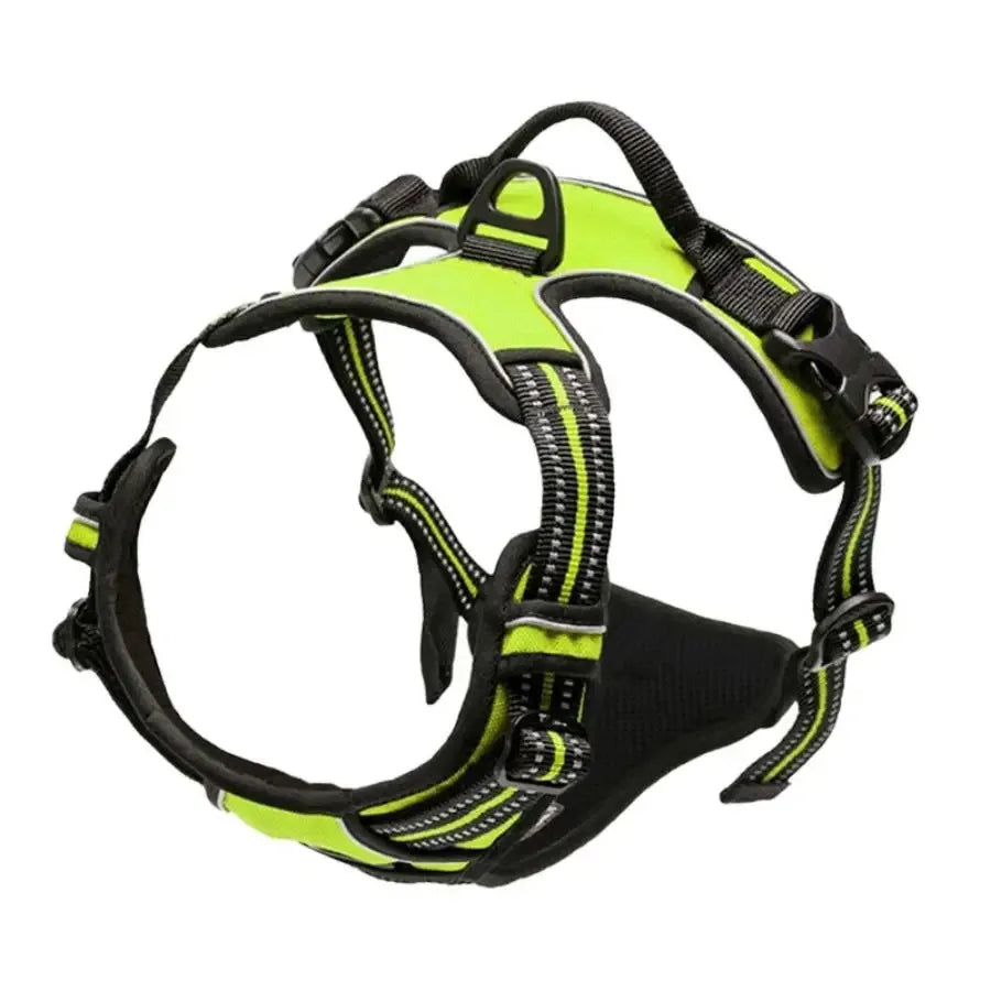 Dog Collar, Harness & Leash Set