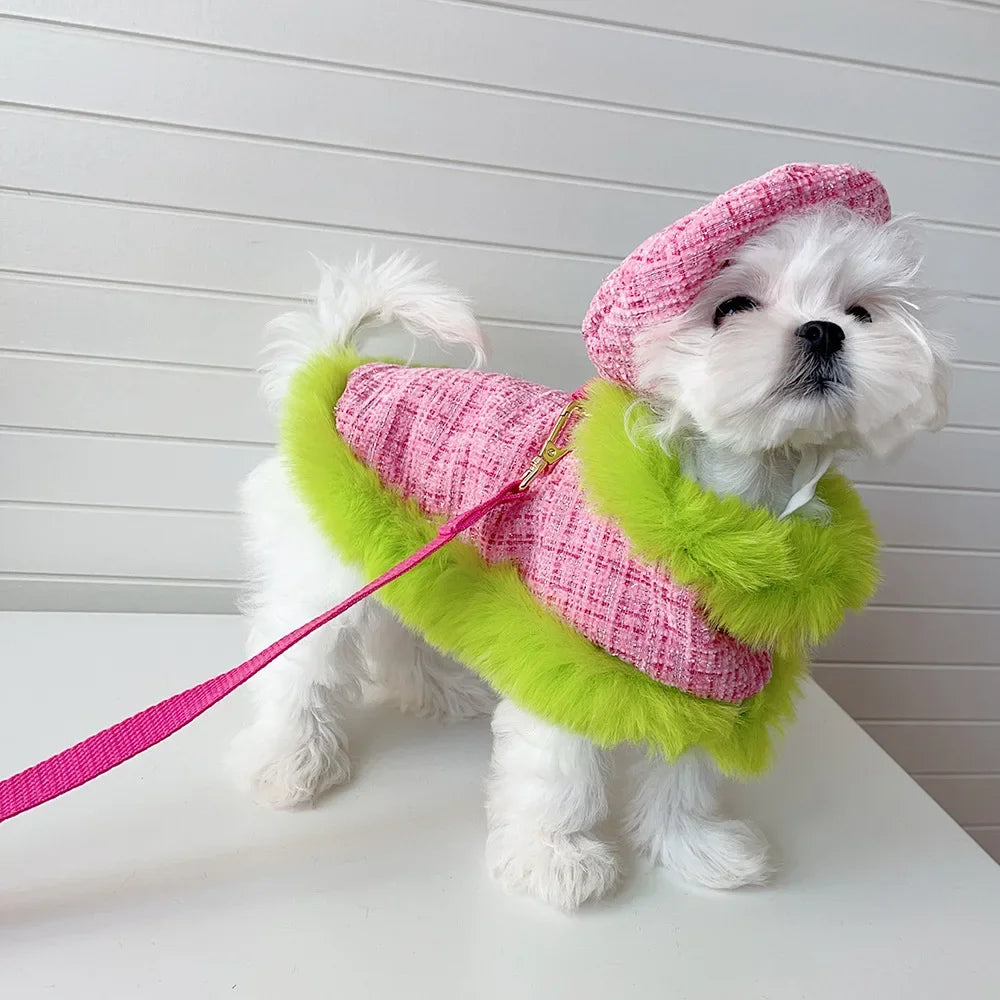 Winter Cloak Harness &amp; Leash Set