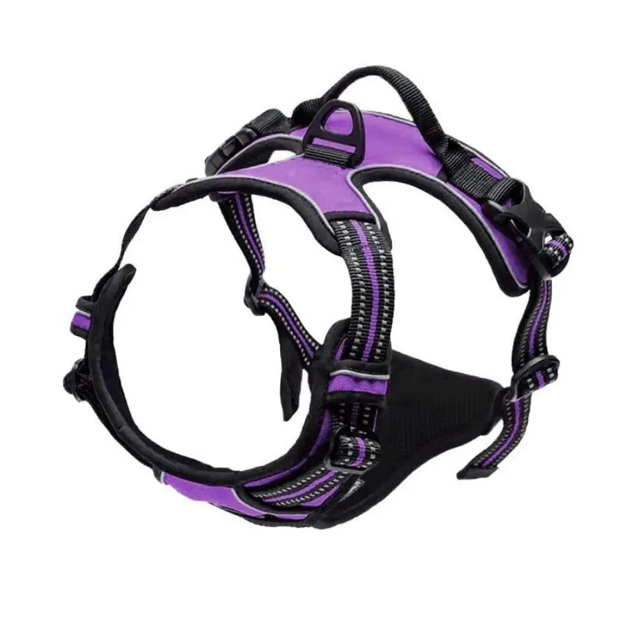 Dog Collar, Harness & Leash Set