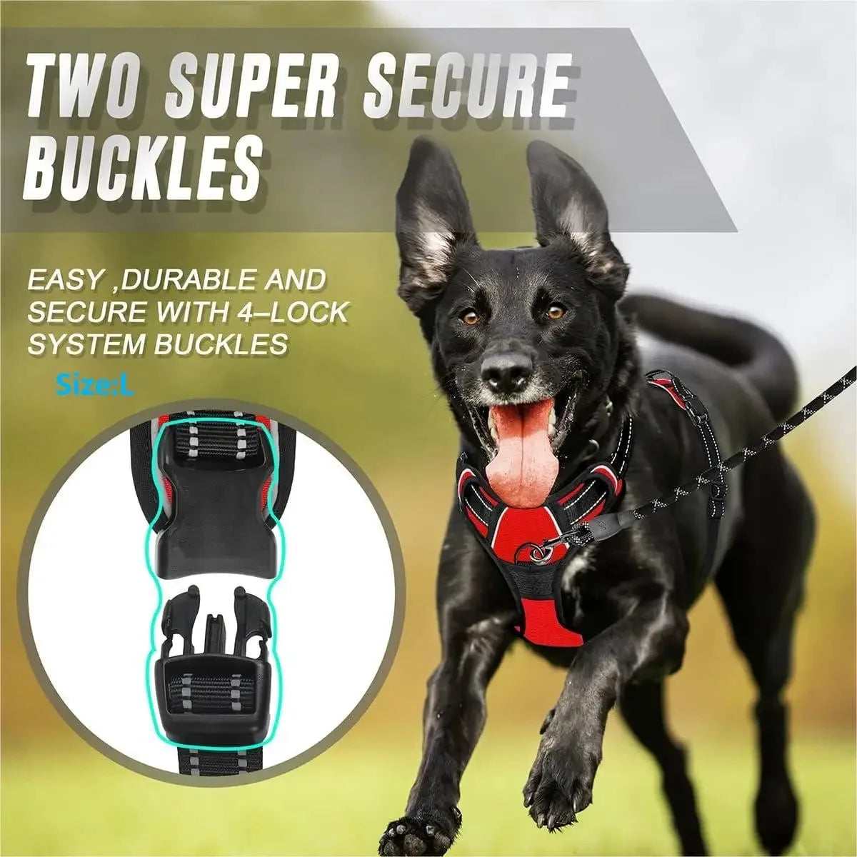 Dog Collar, Harness & Leash Set