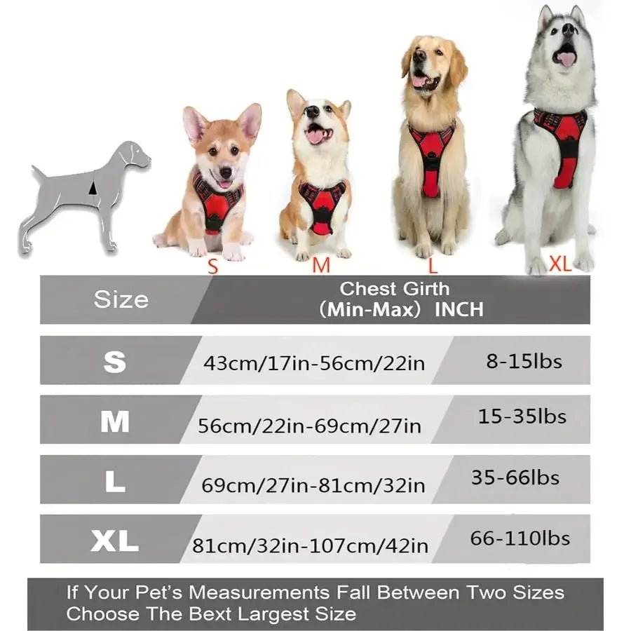 Dog Collar, Harness & Leash Set