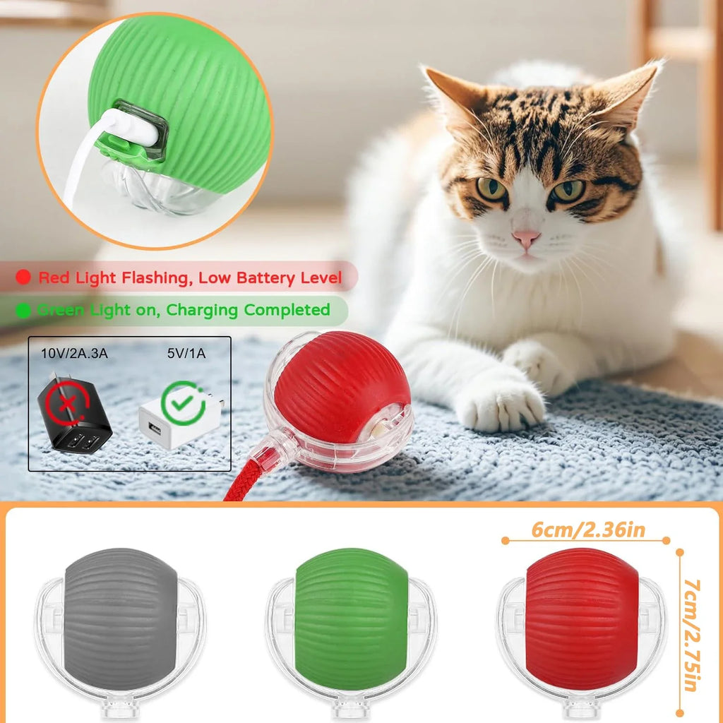 Motorized Rolling Ball Cat Toy with Faux Tail