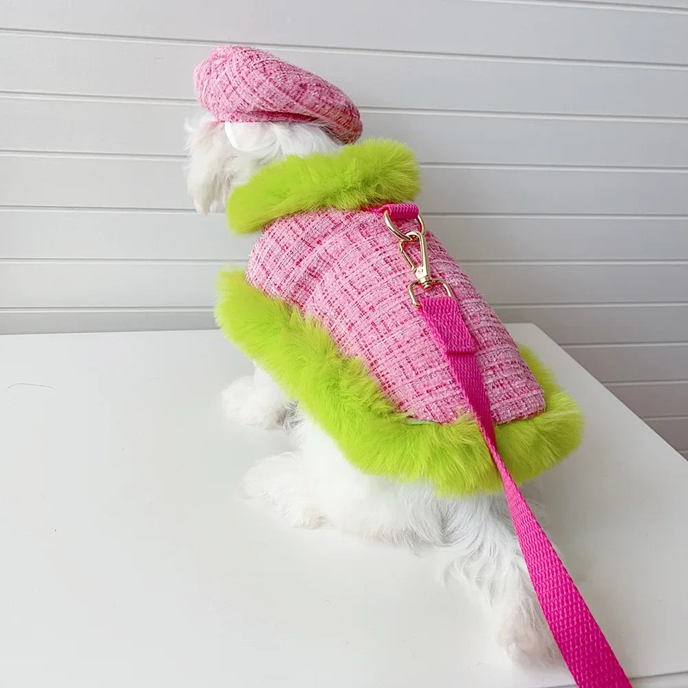 Winter Cloak Harness &amp; Leash Set