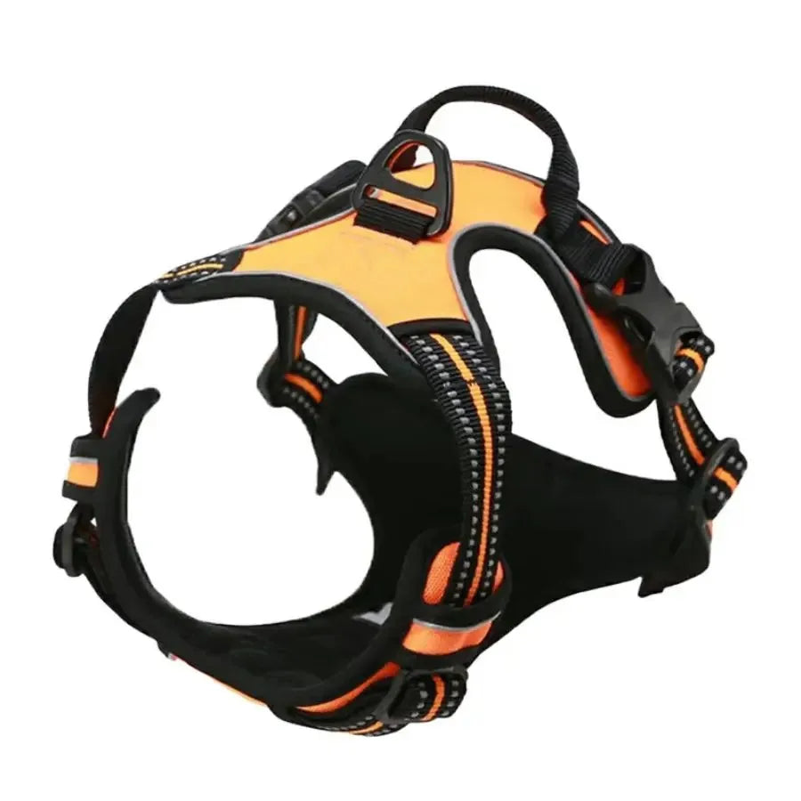 Dog Collar, Harness & Leash Set