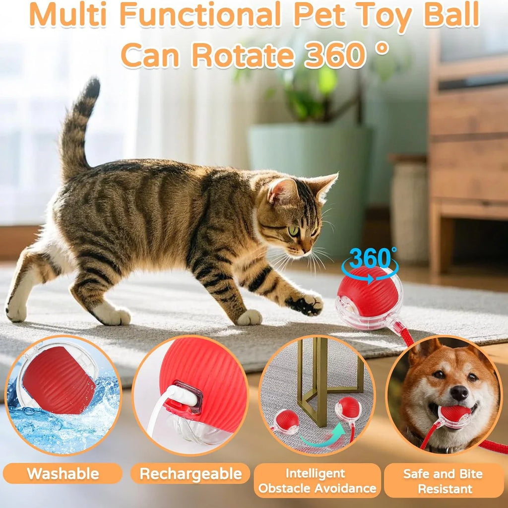 Motorized Rolling Ball Cat Toy with Faux Tail