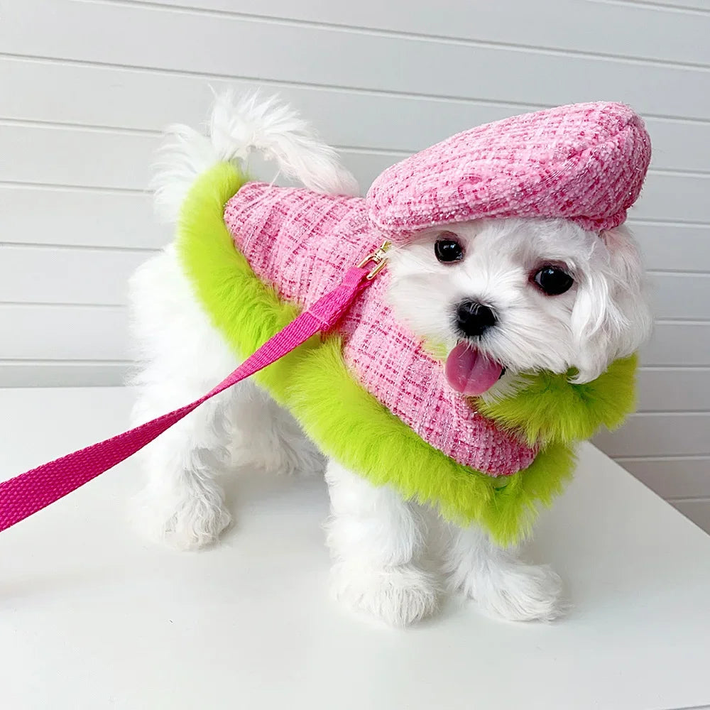 Winter Cloak Harness &amp; Leash Set