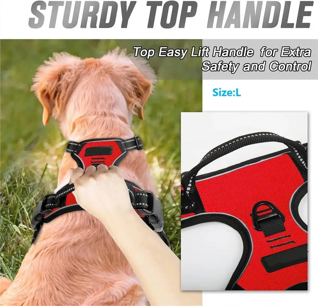Dog Collar, Harness & Leash Set