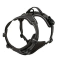 Dog Collar, Harness & Leash Set
