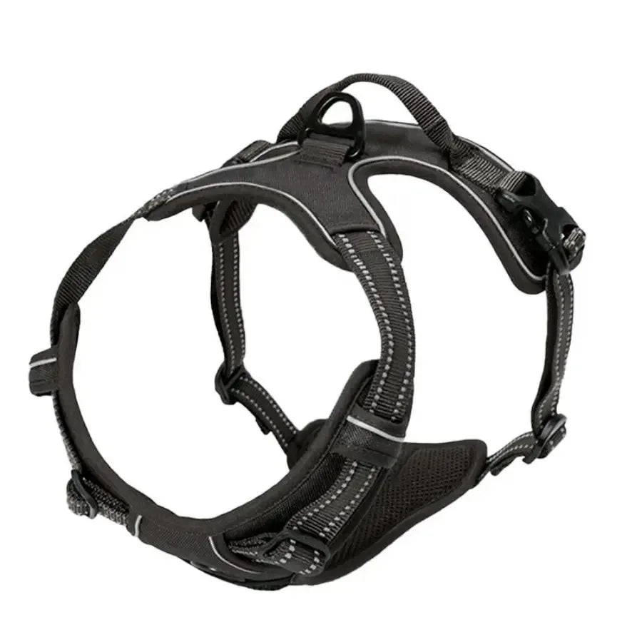 Dog Collar, Harness & Leash Set